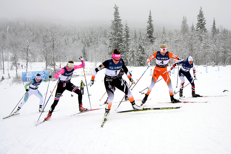 Telenor-karusellen